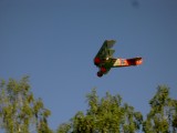 PICT5078